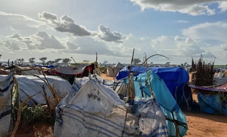 مخيمات اللاجئين في تشاد