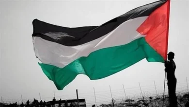 امتحانات الطلاب الفلسطينيين في مصر